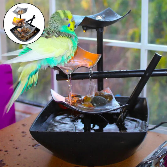 Fonte de Água para Relaxamento