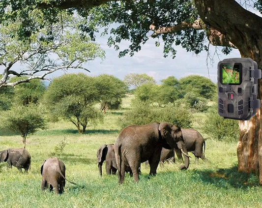 Câmera de espera com sensor de movimento e visão noturna com 24MP e 1296P