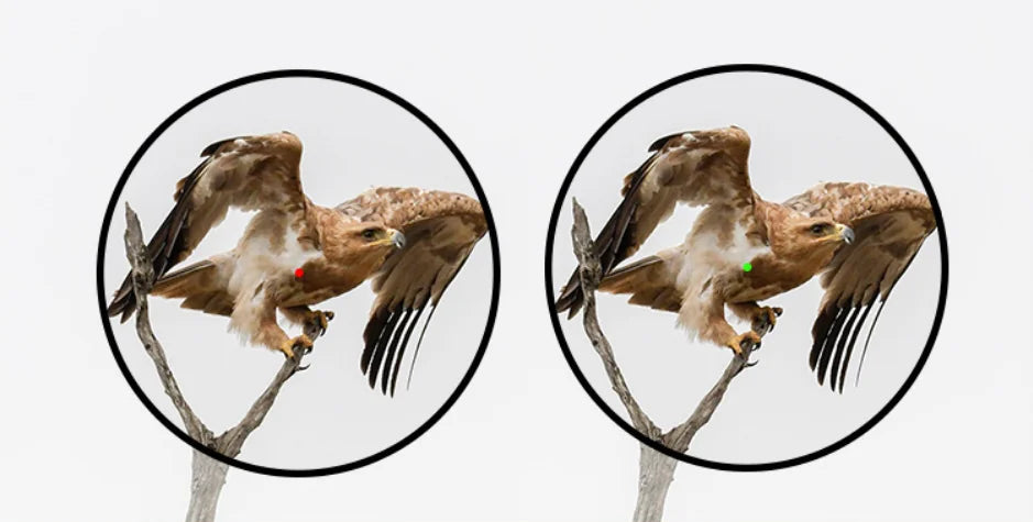 Mira Diana ajustável telescópica e holográfica com red dot